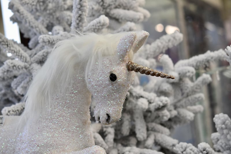Unicorn Details